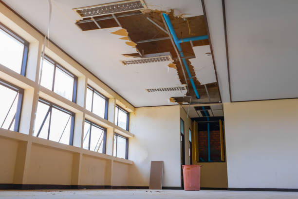 Best 24/7 water damage repair  in Webster City, IA