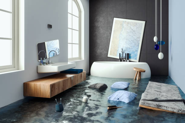 Best Water damage restoration near me  in Webster City, IA