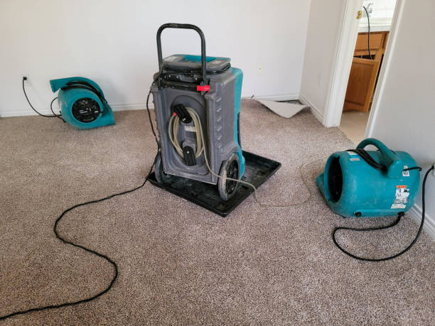 Best Carpet water damage restoration  in Webster City, IA