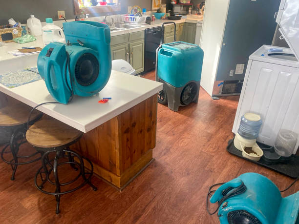 Best Flood damage cleanup  in Webster City, IA