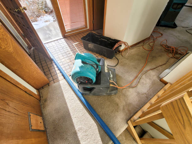 Best Fire Damage Restoration  in Webster City, IA