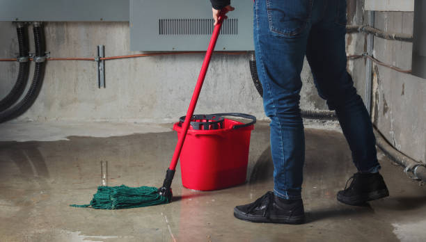 Best Emergency water damage restoration  in Webster City, IA