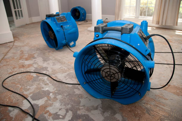 Best Local water damage restoration  in Webster City, IA