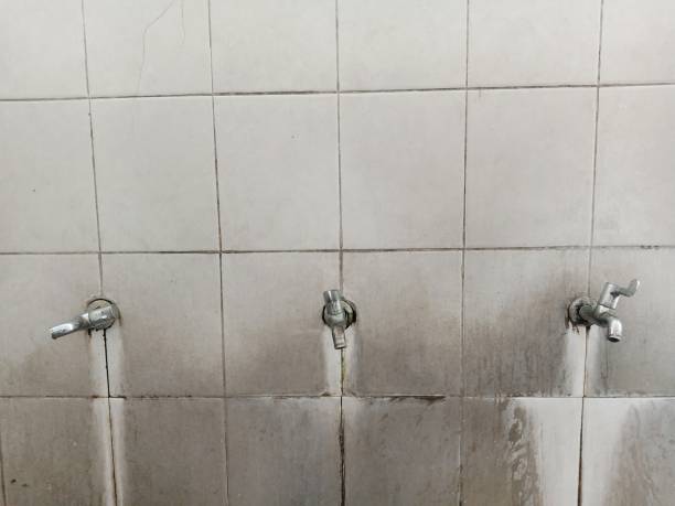 Best Ceiling water damage repair  in Webster City, IA