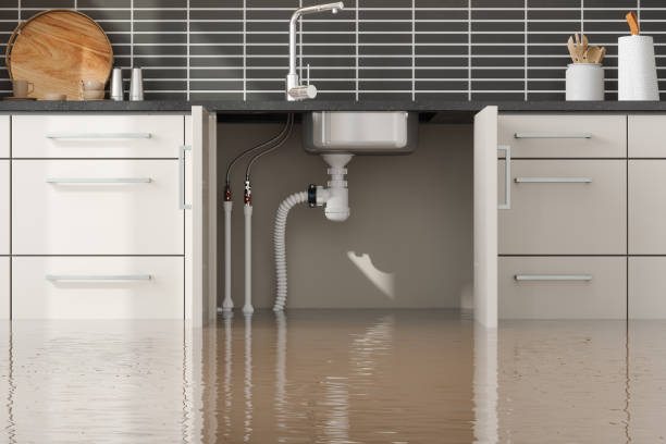 Best Professional water damage repair  in Webster City, IA