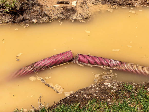  Webster City, IA Water damage restoration Pros