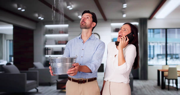 Best Residential water damage restoration  in Webster City, IA